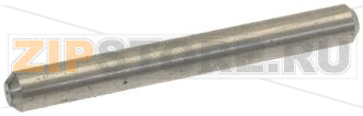PERNO ELETTROMAGNETE ø 4x35 mm 