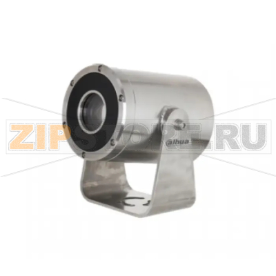 IP-камера Dahua DH-SDZW2030U-SL 