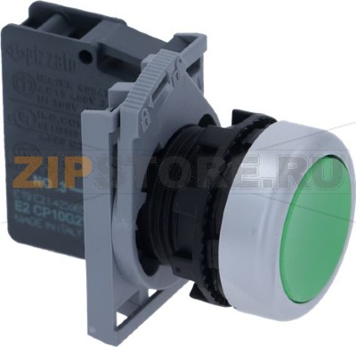 STARTER BUTTON COMPLETE 