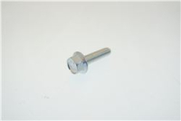 VITE TE FLANGIATA M5x20 mm ZINCATA