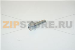 VITE TE FLANGIATA M5x20 mm ZINCATA 
