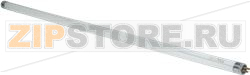 FLUORESCENT TUBE 