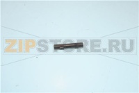 SPINA CILINDRICA 5x24 mm