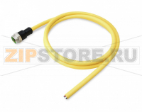 Supply cable, pre-assembled, 7/8 inch; 7/8 inch; 5-pole; Plug, straight; Length: 3 m Wago 787-6716/9510-030