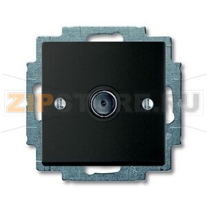 ТВ-розетка ABB 2CKA001724A4313 