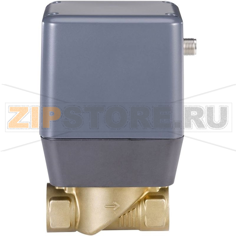Клапан электромоторный, регулирующий, 24 В/DC, G3/4, 0-6 бар, 1 шт Bürkert 269246 