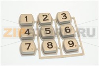 TASTIERA CORALLO 6SP SERIGRAFATA