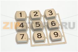 TASTIERA CORALLO 6SP SERIGRAFATA 