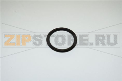 TORIC JOINT 2050 