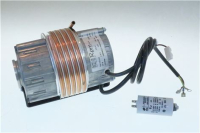 MOTORE RPM