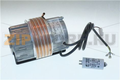 MOTORE RPM 