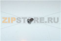VITE INOX 