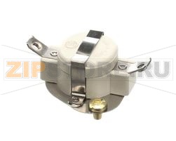 TERMOSTATO DI LIMITE SUPERIORE, 450 F 