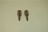 PERNO MECCANISMO SBLOCCAGGIO; SET 2PCS