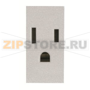 Розетка модульная US стандарта с заземлением, 2P+E, 1M, 15 А, 127 В, серебристый ABB 2CLA212800N1301 