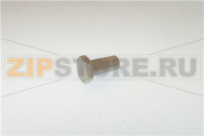 VITE INOX COPERCHIO 