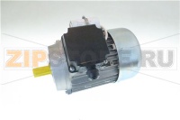 MOTORE MONOFASE 230V 1Ph 50Hz