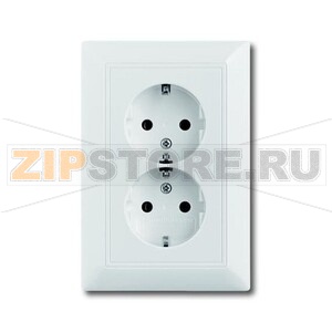 Розетка двойная ABB 2CKA002014A1463 