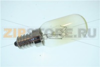 LAMP-INCANDESCENT (230V,-,25W,OR)