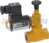 КЛАПАН РУЧНОГО СБРОСА  Ø 1/2 ДЮЙМА FF 230 В