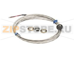 PROBE,SS BUTTON 