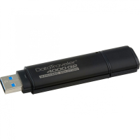 Накопитель USB 32 Гб Kingston DT4000G2DM/32GB