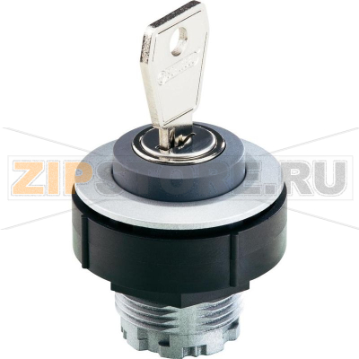 Выключатель с ключом из нержавеющей стали, 2x90°, 10 шт Schlegel KRJMSSA12E 