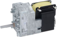 GEARMOTOR 50W 220V