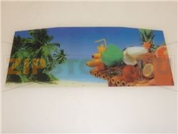 SERIGRAFIA COPERCHIO 