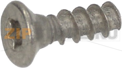 ВИНТ TSP 3X10 ММ 