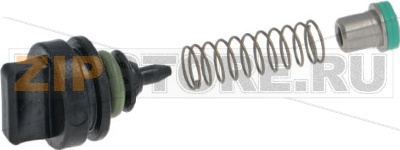 Kit Check Valve Complete 