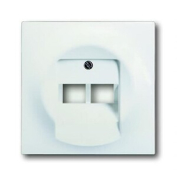 Накладка для двухпостовой розетки с полем для надписи ABB 2CKA001753A0192