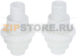 WORM GEAR 