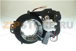 ASS.SG-BICCH.OR-SI-ANT 