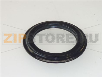 GUARNIZIONE 00252 S PER PILETTA 