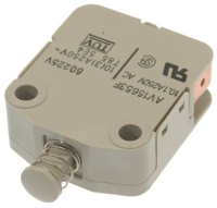 MICROINTERRUTTORE