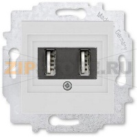 USB-розетка двойная, серая ABB 2CHH290040A6016