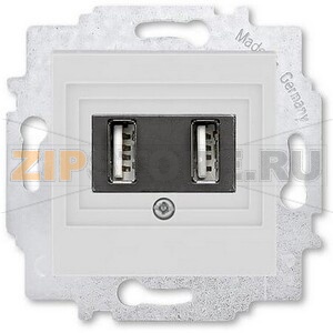 USB-розетка двойная, серая ABB 2CHH290040A6016 