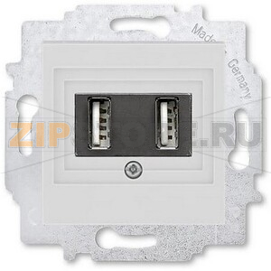 USB-розетка двойная, серая ABB 2CHH290040A6016 