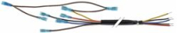 ELECTRONIC CONTROLLER CONNECTION CABLE