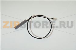 AS.CONN.2P.SENS.REED SPORT.MYB9 UL 