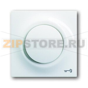 Клавиша выключателя/переключателя/кнопки с лампой подсветки и символом &quot;Ключ&quot; ABB 2CKA001753A4831 