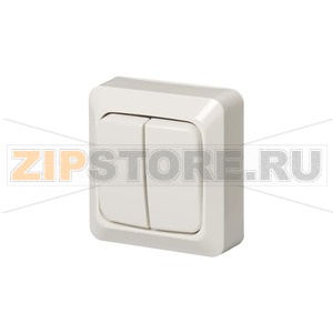 Выключатель двухклавишный 16 А, 230 В, однополюсный, белый ABB 2TKA000163G1 