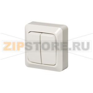 Выключатель двухклавишный 16 А, 230 В, однополюсный, белый ABB 2TKA000163G1 