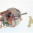 ДВИГАТЕЛЬ ASSY 230V-С МОЛДИНГОМ - ДВИГАТЕЛЬ ASSY 230V-С МОЛДИНГОМ