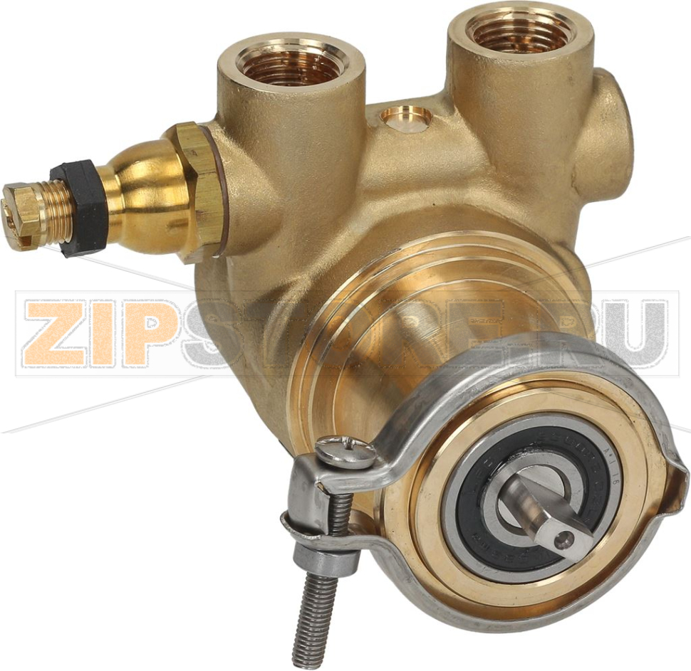ОБЪЕМНЫЙ НАСОС ROTOFLOW Ø 3/8" GAS 