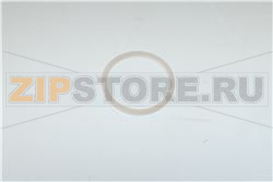 Guarnizione PTFE 