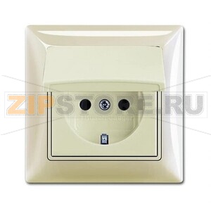 Розетка ABB 2CKA002018A1504 