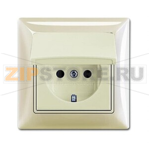 Розетка ABB 2CKA002018A1504 