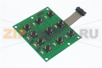 LEXAN DE COMMANDE 